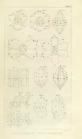 Picture 4 of 211 from A System of Mineralogy, comprising the most recent discoveries ... Third edition, rewritten, rearranged and enlarged (1850), leaf 35