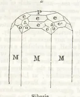 Picture 117 of 211 from A System of Mineralogy, comprising the most recent discoveries ... Third edition, rewritten, rearranged and enlarged (1850), leaf 389