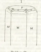 An illustration from A System of Mineralogy, comprising the most recent discoveries ... Third edition, rewritten, rearranged and enlarged (1850)