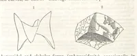 Picture 147 of 211 from A System of Mineralogy, comprising the most recent discoveries ... Third edition, rewritten, rearranged and enlarged (1850), leaf 460