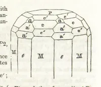 An illustration from A System of Mineralogy, comprising the most recent discoveries ... Third edition, rewritten, rearranged and enlarged (1850)