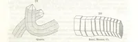 An illustration from A System of Mineralogy, comprising the most recent discoveries ... Third edition, rewritten, rearranged and enlarged (1850)