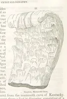 Picture 18 of 211 from A System of Mineralogy, comprising the most recent discoveries ... Third edition, rewritten, rearranged and enlarged (1850), leaf 98