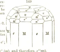 An illustration from A System of Mineralogy, comprising the most recent discoveries ... Fourth edition, rewritten, rearranged, and enlarged (1854)