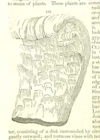 An illustration from A System of Mineralogy, comprising the most recent discoveries ... Fourth edition, rewritten, rearranged, and enlarged (1854)