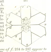 An illustration from A System of Mineralogy, comprising the most recent discoveries ... Fourth edition, rewritten, rearranged, and enlarged (1854)