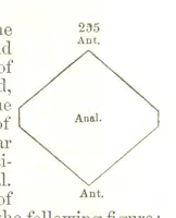 An illustration from A System of Mineralogy, comprising the most recent discoveries ... Fourth edition, rewritten, rearranged, and enlarged (1854)