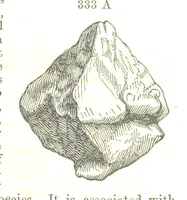 An illustration from A System of Mineralogy, comprising the most recent discoveries ... Fourth edition, rewritten, rearranged, and enlarged (1854)