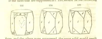 An illustration from A System of Mineralogy, comprising the most recent discoveries ... Fourth edition, rewritten, rearranged, and enlarged (1854)