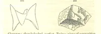 An illustration from A System of Mineralogy, comprising the most recent discoveries ... Fourth edition, rewritten, rearranged, and enlarged (1854)