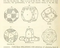 Picture 23 of 240 from A System of Mineralogy. Descriptive Mineralogy ... By J. D. Dana ... aided by George Jarvis Brush ... Fifth edition. Rewritten and enlarged, etc (1868), leaf 118