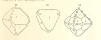 Picture 24 of 240 from A System of Mineralogy. Descriptive Mineralogy ... By J. D. Dana ... aided by George Jarvis Brush ... Fifth edition. Rewritten and enlarged, etc (1868), leaf 121