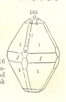 Picture 57 of 240 from A System of Mineralogy. Descriptive Mineralogy ... By J. D. Dana ... aided by George Jarvis Brush ... Fifth edition. Rewritten and enlarged, etc (1868), leaf 217