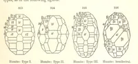 An illustration from A System of Mineralogy. Descriptive Mineralogy ... By J. D. Dana ... aided by George Jarvis Brush ... Fifth edition. Rewritten and enlarged, etc (1868)
