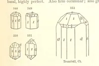 Picture 125 of 240 from A System of Mineralogy. Descriptive Mineralogy ... By J. D. Dana ... aided by George Jarvis Brush ... Fifth edition. Rewritten and enlarged, etc (1868), leaf 433