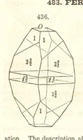 Picture 166 of 240 from A System of Mineralogy. Descriptive Mineralogy ... By J. D. Dana ... aided by George Jarvis Brush ... Fifth edition. Rewritten and enlarged, etc (1868), leaf 580