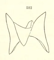 Picture 224 of 240 from A System of Mineralogy. Descriptive Mineralogy ... By J. D. Dana ... aided by George Jarvis Brush ... Fifth edition. Rewritten and enlarged, etc (1868), leaf 745
