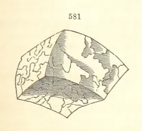Picture 225 of 240 from A System of Mineralogy. Descriptive Mineralogy ... By J. D. Dana ... aided by George Jarvis Brush ... Fifth edition. Rewritten and enlarged, etc (1868), leaf 745