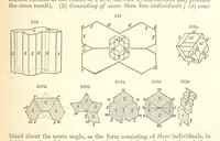 Picture 227 of 240 from A System of Mineralogy. Descriptive Mineralogy ... By J. D. Dana ... aided by George Jarvis Brush ... Fifth edition. Rewritten and enlarged, etc (1868), leaf 751