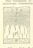 An illustration from A System of Mineralogy ... Fifth edition, rewritten and enlarged ... With three appendixes and corrections. (Appendix I., 1868-1872, by G. J. Brush. Appendix II., 1872-1875, and Appendix III., 1875-1882, by E. S. Dana.) (1883)