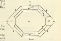 An illustration from A System of Mineralogy ... Fifth edition, rewritten and enlarged ... With three appendixes and corrections. (Appendix I., 1868-1872, by G. J. Brush. Appendix II., 1872-1875, and Appendix III., 1875-1882, by E. S. Dana.) (1883)