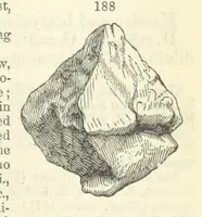 An illustration from A System of Mineralogy ... Fifth edition, rewritten and enlarged ... With three appendixes and corrections. (Appendix I., 1868-1872, by G. J. Brush. Appendix II., 1872-1875, and Appendix III., 1875-1882, by E. S. Dana.) (1883)