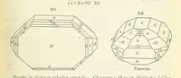 An illustration from A System of Mineralogy ... Fifth edition, rewritten and enlarged ... With three appendixes and corrections. (Appendix I., 1868-1872, by G. J. Brush. Appendix II., 1872-1875, and Appendix III., 1875-1882, by E. S. Dana.) (1883)
