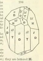 An illustration from A System of Mineralogy ... Fifth edition, rewritten and enlarged ... With three appendixes and corrections. (Appendix I., 1868-1872, by G. J. Brush. Appendix II., 1872-1875, and Appendix III., 1875-1882, by E. S. Dana.) (1883)
