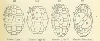 An illustration from A System of Mineralogy ... Fifth edition, rewritten and enlarged ... With three appendixes and corrections. (Appendix I., 1868-1872, by G. J. Brush. Appendix II., 1872-1875, and Appendix III., 1875-1882, by E. S. Dana.) (1883)