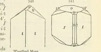 An illustration from A System of Mineralogy ... Fifth edition, rewritten and enlarged ... With three appendixes and corrections. (Appendix I., 1868-1872, by G. J. Brush. Appendix II., 1872-1875, and Appendix III., 1875-1882, by E. S. Dana.) (1883)