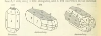 An illustration from A System of Mineralogy ... Fifth edition, rewritten and enlarged ... With three appendixes and corrections. (Appendix I., 1868-1872, by G. J. Brush. Appendix II., 1872-1875, and Appendix III., 1875-1882, by E. S. Dana.) (1883)