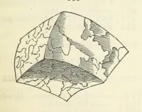 An illustration from A System of Mineralogy ... Fifth edition, rewritten and enlarged ... With three appendixes and corrections. (Appendix I., 1868-1872, by G. J. Brush. Appendix II., 1872-1875, and Appendix III., 1875-1882, by E. S. Dana.) (1883)
