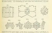 An illustration from A System of Mineralogy ... Fifth edition, rewritten and enlarged ... With three appendixes and corrections. (Appendix I., 1868-1872, by G. J. Brush. Appendix II., 1872-1875, and Appendix III., 1875-1882, by E. S. Dana.) (1883)