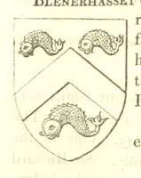 An illustration from Magna Britannia; being a concise topographical account of the several counties of Great Britain. [With copious illustrations.] vol. 1-6. L.P (1806)