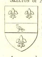 An illustration from Magna Britannia; being a concise topographical account of the several counties of Great Britain. [With copious illustrations.] vol. 1-6. L.P (1806)