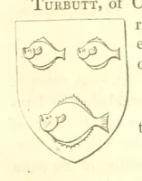 Picture 97 of 360 from Magna Britannia; being a concise topographical account of the several counties of Great Britain. [With copious illustrations.] vol. 1-6. L.P (1806), leaf 115