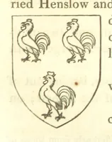 Picture 177 of 360 from Magna Britannia; being a concise topographical account of the several counties of Great Britain. [With copious illustrations.] vol. 1-6. L.P (1806), leaf 141