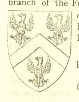 Picture 192 of 360 from Magna Britannia; being a concise topographical account of the several counties of Great Britain. [With copious illustrations.] vol. 1-6. L.P (1806), leaf 147