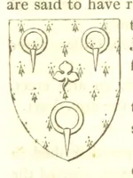 Picture 203 of 360 from Magna Britannia; being a concise topographical account of the several counties of Great Britain. [With copious illustrations.] vol. 1-6. L.P (1806), leaf 151