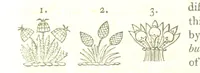 Picture 213 of 360 from Magna Britannia; being a concise topographical account of the several counties of Great Britain. [With copious illustrations.] vol. 1-6. L.P (1806), leaf 154