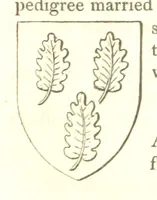 Picture 240 of 360 from Magna Britannia; being a concise topographical account of the several counties of Great Britain. [With copious illustrations.] vol. 1-6. L.P (1806), leaf 163