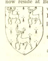 Picture 273 of 360 from Magna Britannia; being a concise topographical account of the several counties of Great Britain. [With copious illustrations.] vol. 1-6. L.P (1806), leaf 173