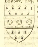 Picture 59 of 360 from Magna Britannia; being a concise topographical account of the several counties of Great Britain. [With copious illustrations.] vol. 1-6. L.P (1806), leaf 97