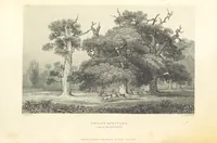Picture 37 of 56 from Hampshire: its past and present condition and future prospects (1838), leaf 290