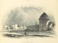 Picture 10 of 56 from Hampshire: its past and present condition and future prospects (1838), leaf 62