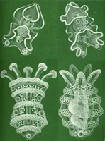 An illustration from Procharybdis tetraptera aka Alatina tetraptera (Haeckel, 1880) (1904)