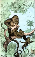 An illustration from Albert Robida - Voyages très extraordinaires de Saturnin Farandoul, 1879 page 016 (1879)