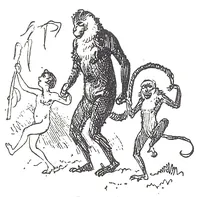An illustration from Albert Robida - Voyages très extraordinaires de Saturnin Farandoul, 1879 page 018 (1879)