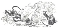 An illustration from Albert Robida - Voyages très extraordinaires de Saturnin Farandoul, 1879 page 019 (1879)
