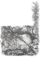 An illustration from Albert Robida - Voyages très extraordinaires de Saturnin Farandoul, 1879 page 042 (1879)